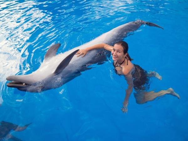 Swim with Dolphins